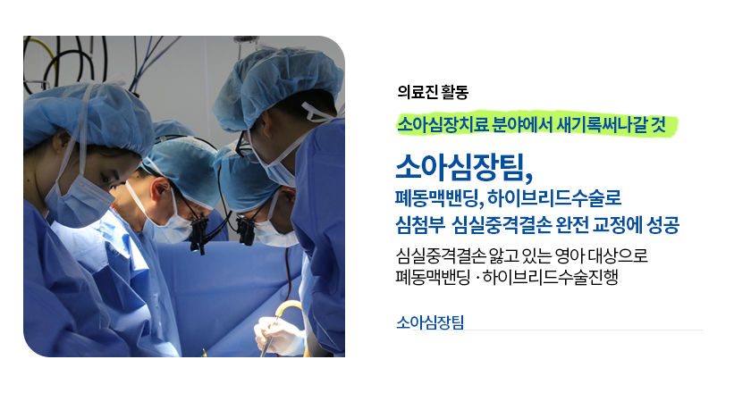 사진 이미지